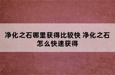 净化之石哪里获得比较快 净化之石怎么快速获得